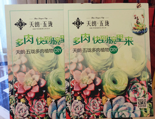 &#20339;&#21338;&#23448;&#26041;&#32593;&#31449;&#95;&#20339;&#21338;&#106;&#105;&#97;&#98;&#111;&#40;&#20013;&#22269;&#41;